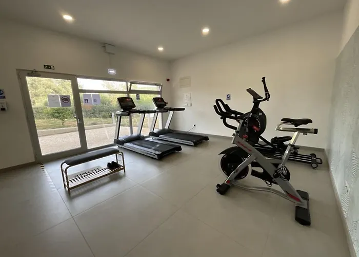 La Vanoise By Alzira * 阿尔布费拉